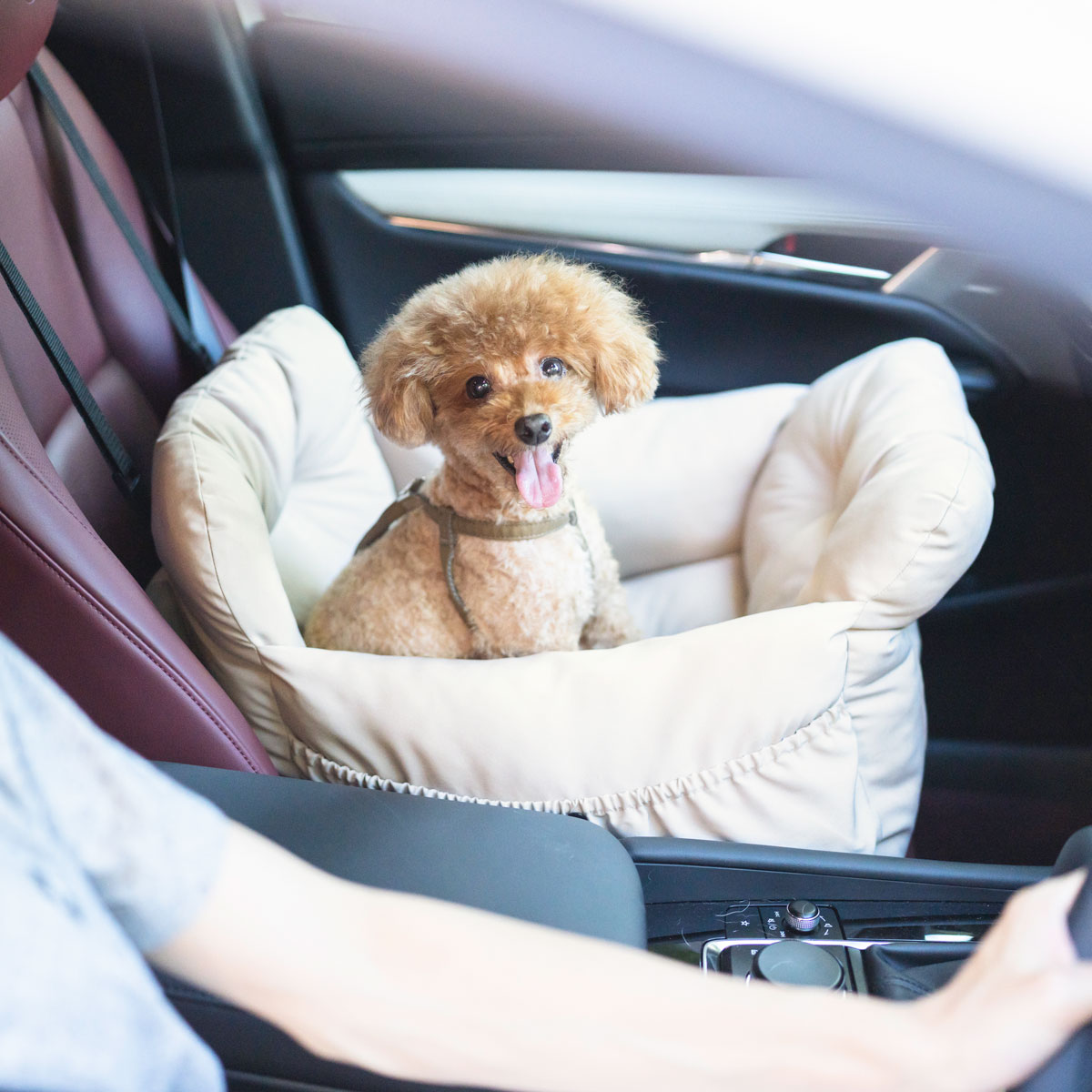 【予約5月25日順次発送】【まとめ買い対象】新色追加 犬 ベッド ラディカ コーデュラ ドライブベッドキャリー M 〜7Kgまで 撥水 メール便不可 | RADICA | 03