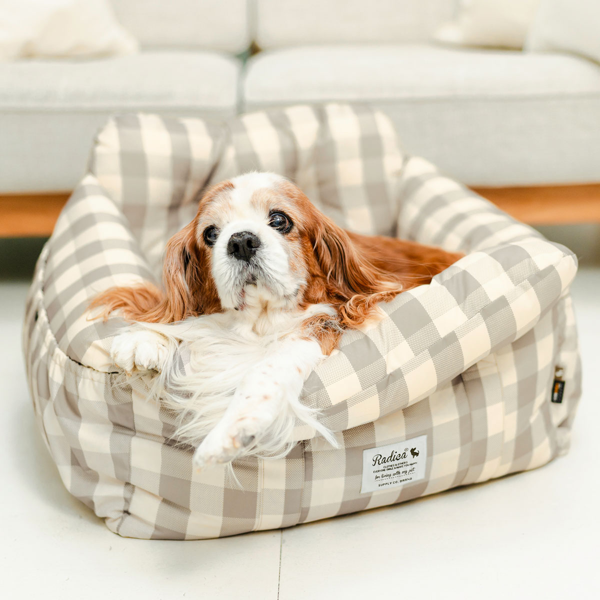 RADICA（ラディカ） 爆買 【ご愛顧価格700円オフ】新色追加 犬 ベッド