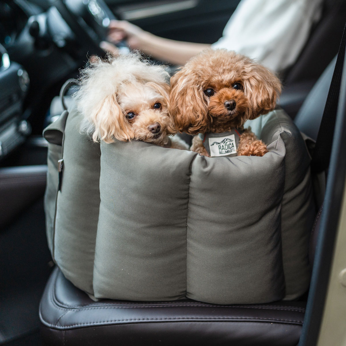 RADICA（ラディカ） 【ご愛顧SALE】犬 コーデュラ ロゼッタ ドライブ