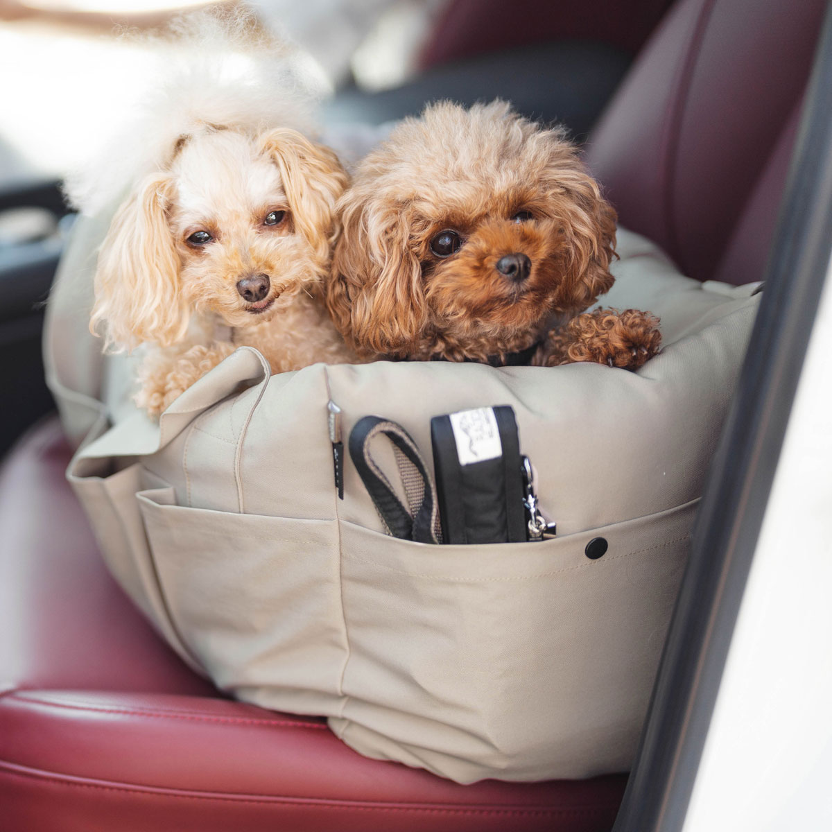 RADICA（ラディカ） 【予約12月19日順次発送】【創業20周年セール