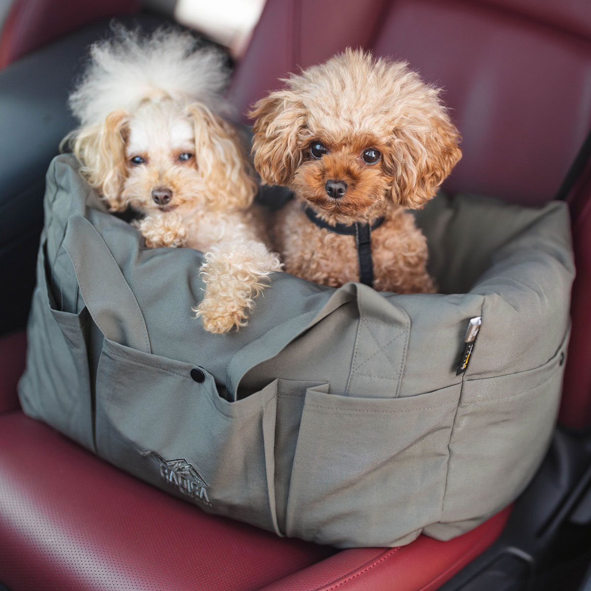 RADICA（ラディカ） 【予約1月21日順次発送】【創業20周年セール】犬