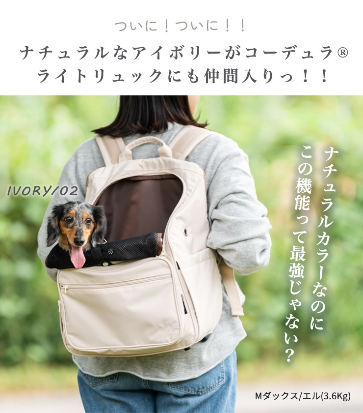 新色