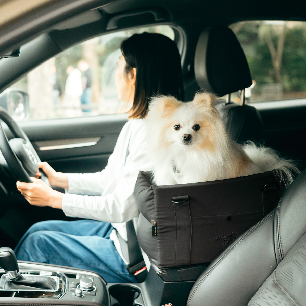 RADICA（ラディカ） 【まとめ買い対象】犬 助手席 車 5WAY コーデュラ