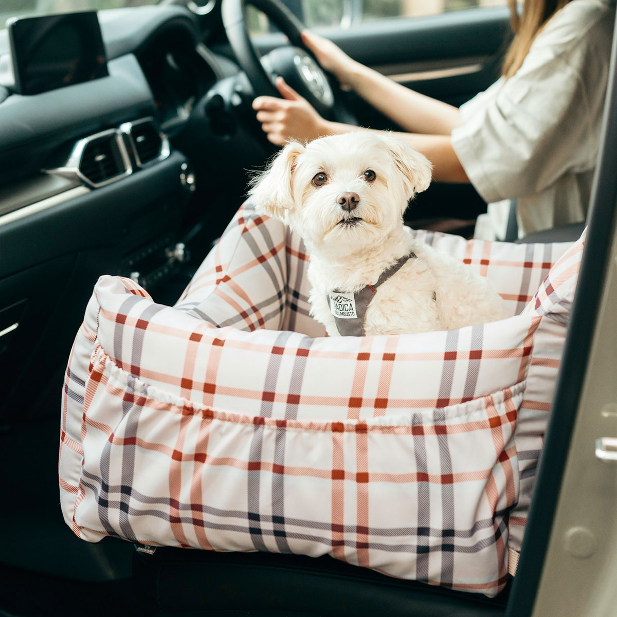 RADICA（ラディカ） 【まとめ買い対象】 新色追加 犬 ベッド