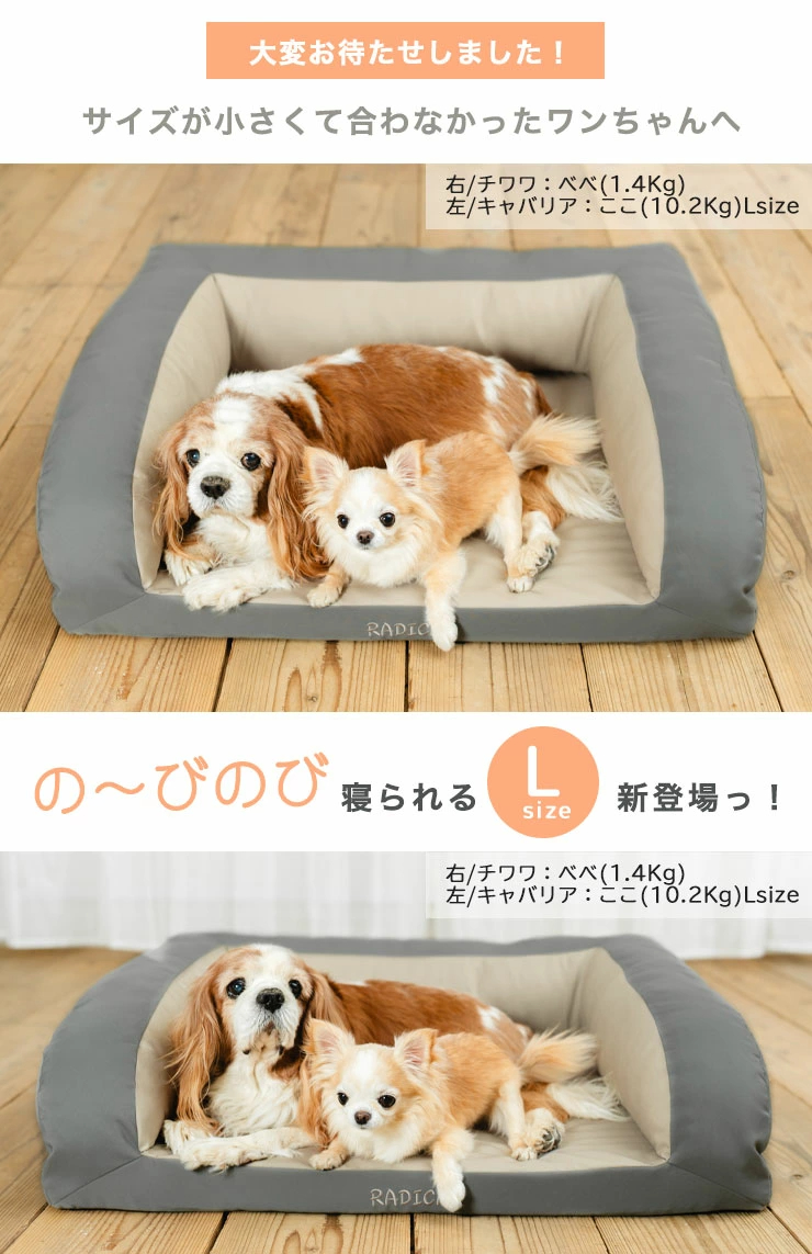 犬 猫 ベッドラディカ コーデュラ (R) 極上安眠 ベッド S 手洗いOK 撥水 防汚 メール便不可 | RADICA | 10