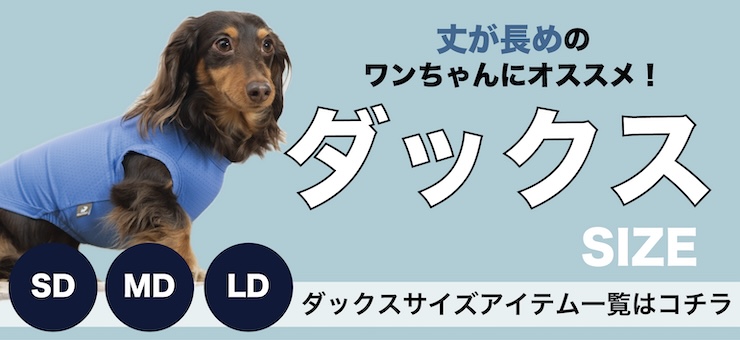 ダックスサイズ