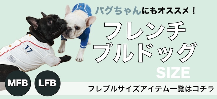 フレブルサイズ