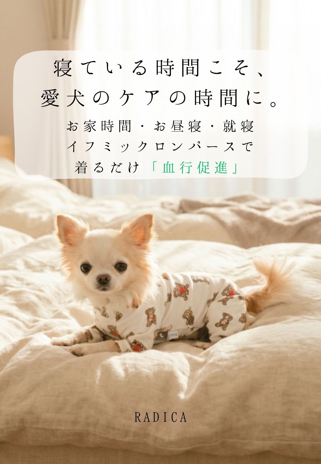 【1,990円均一/まとめ買い対象】【獣医師監修】犬 服 ラディカ ロンパース 抗菌 防臭 介護 血行促進 特許取得 IFMC.イフミック ドッグウエア メール便可 関連画像4