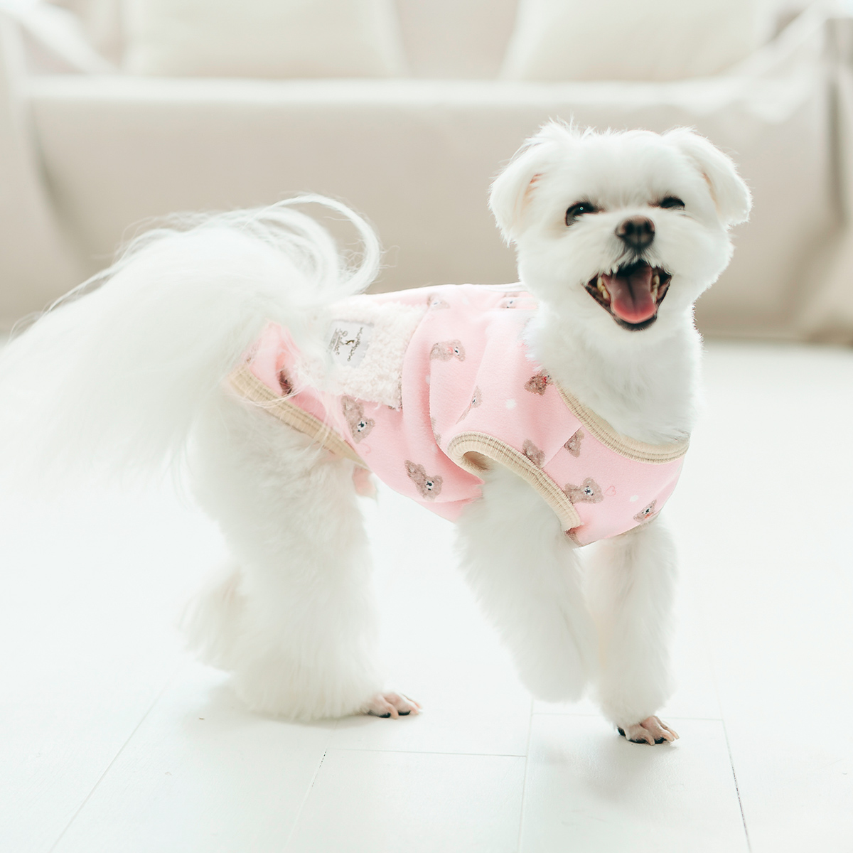 犬服・アクセサリー rapipimama gelato pique（ジェラートピケ）【CAT&DOG】【販路限定商品】ベビモコ