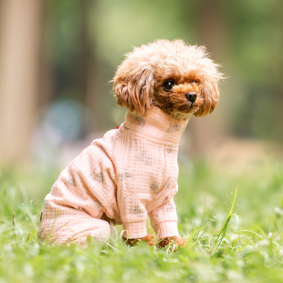 お値下げ！新品犬服 カーゴパンツ つなぎ 2L ブラウン お値下げ！新品犬服 カーゴパンツ つなぎ 2L ブラウン お値下げ！新品