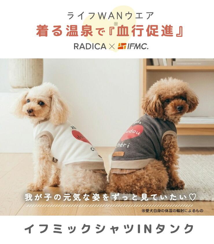 【予約9月8日順次発送】【獣医師監修】【まとめ...の詳細画像1