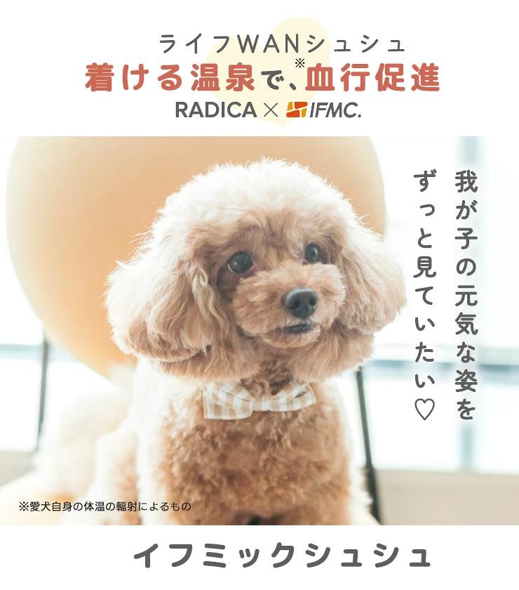 【獣医師監修】【まとめ買い対象/レビュー対象】...の詳細画像1