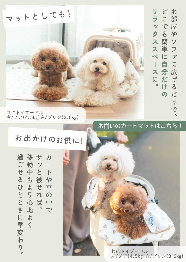 RADICA（ラディカ） 【まとめ買い対象】【獣医師監修】犬 介護 IFMC