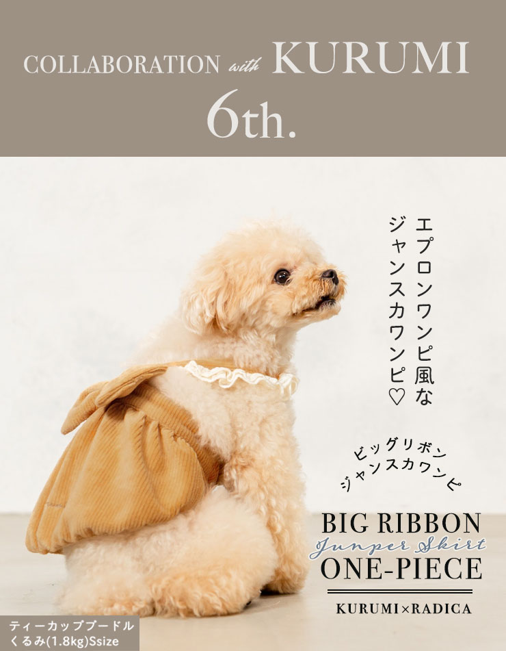 【1090円均一SALE】犬 服 ラディカ ビッグ リボン ジャンスカ ワンピ くるみ ドッグウエア 犬 の服 プレサーモC-31 女の子 メール便可｜radica｜06