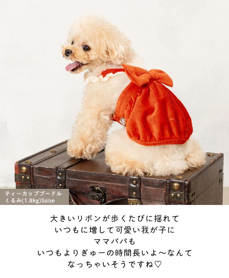 【1090円均一SALE】犬 服 ラディカ ビッグ リボン ジャンスカ ワンピ くるみ ドッグウエア 犬 の服 プレサーモC-31 女の子 メール便可｜radica｜12