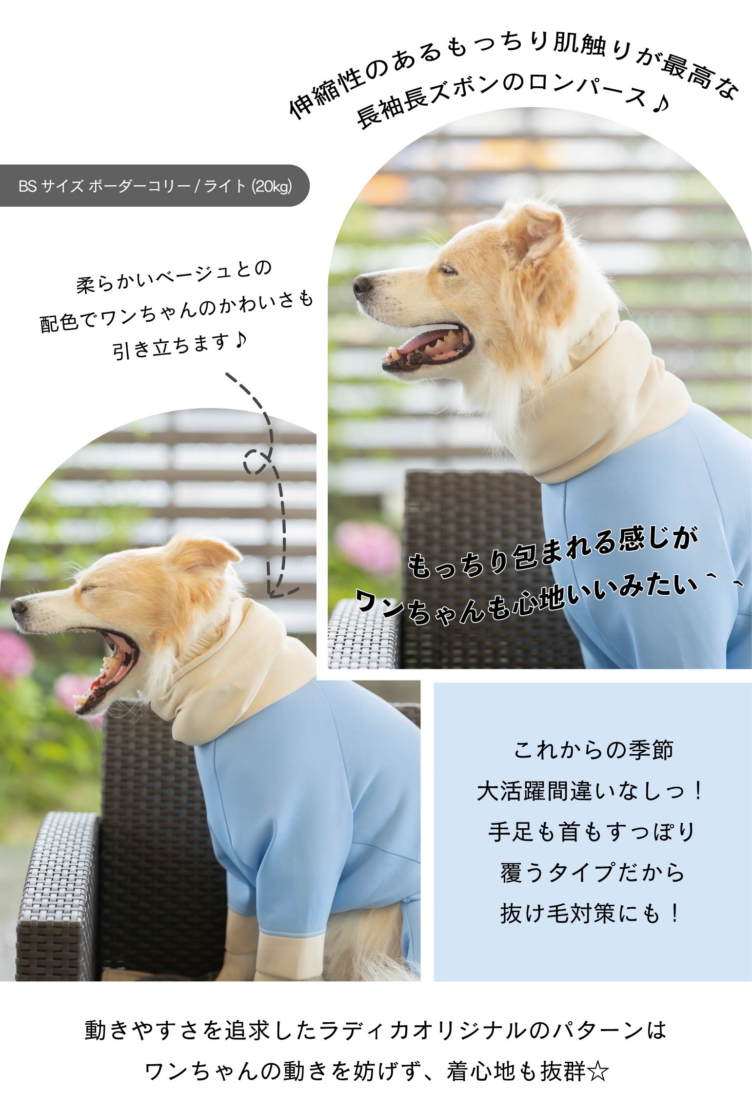 まとめ買いCP対象】 犬 服 ラディカ 大型犬 ダンボールニット