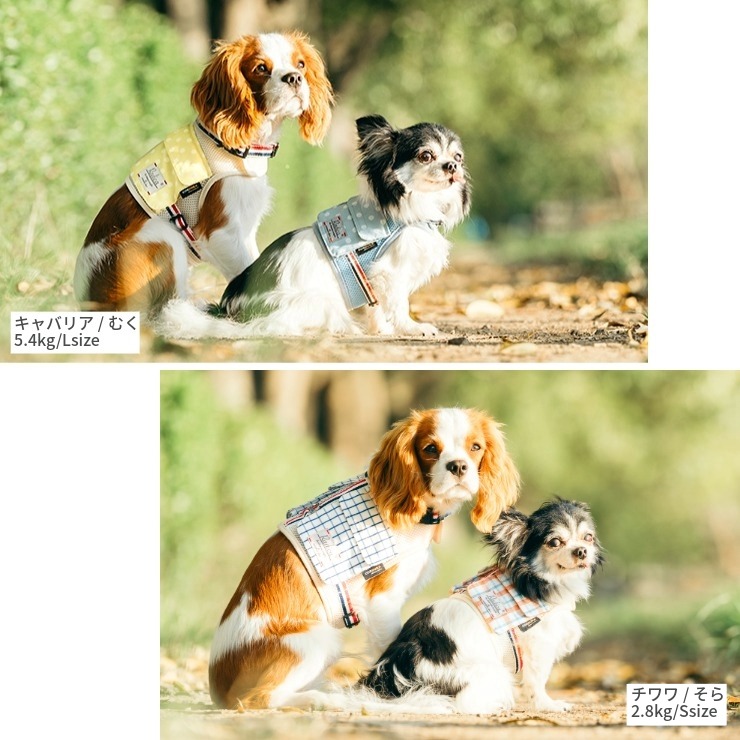 RADICA（ラディカ） 【まとめ買い】犬 ハーネス メッシュ クール
