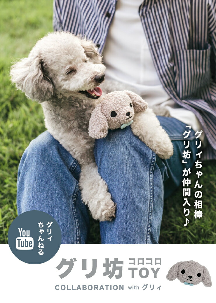 犬 TOY トイ ラディカ グリ坊 コロコロTOY 犬用オモチャ ぬいぐるみ グリィ GRIE グリィちゃんねる メール便不可