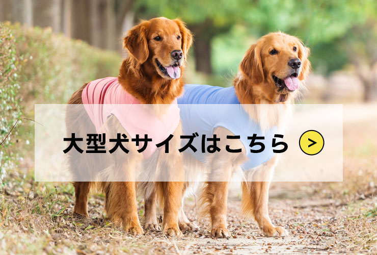そのほかのサイズ