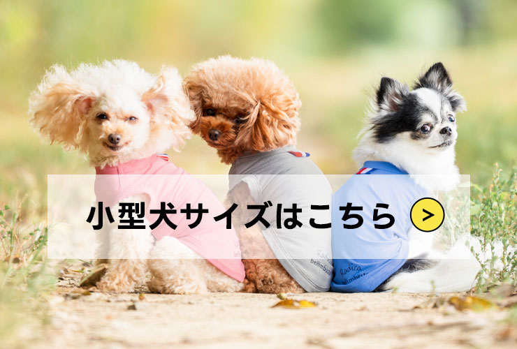 そのほかのサイズ