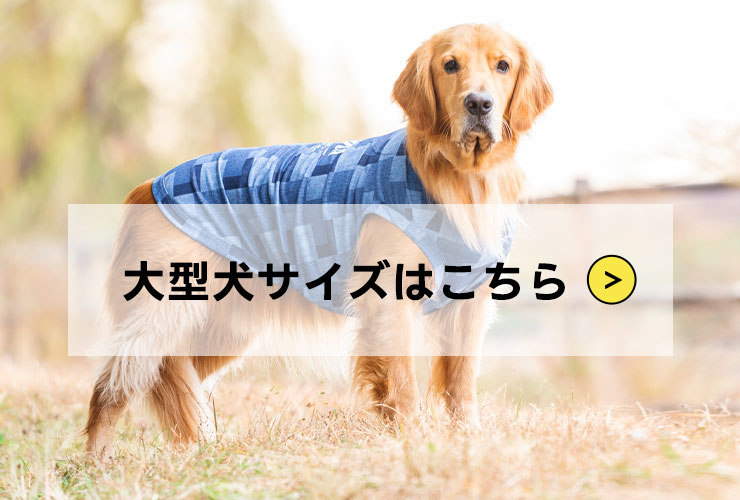 他のサイズ