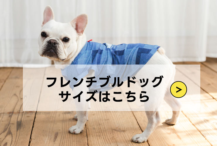 他のサイズ