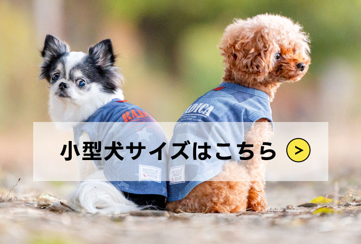 他のサイズ