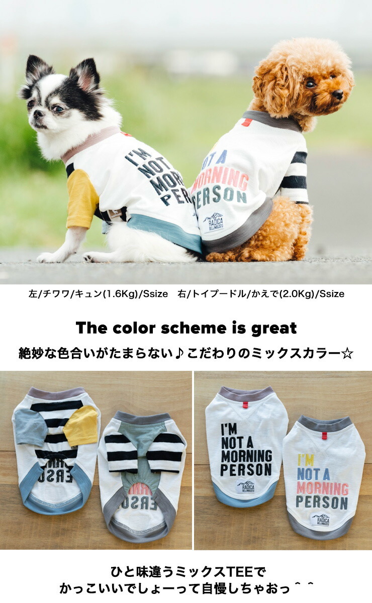 定番キャンバス 半額セール Sale 犬 服 虫よけ ラディカ Bellimbusto ロゴ刺繍 ミックス半袖tee ドッグウエア ウェア 犬の服 プレサーモc25 防蚊 メール便可 Aynaelda Com