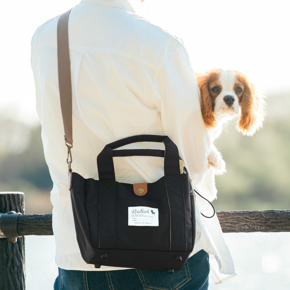 RADICA（ラディカ） 【まとめ買い対象】新色追加 犬 2WAYお散歩バッグ