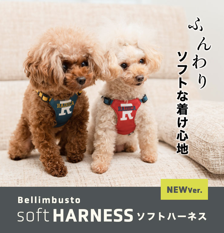 犬 小型犬 犬用 ソフトハーネス 簡単装着 ハーネス ラディカ 犬の胴輪 軽量 迷子防止 脱走防止 メール便可