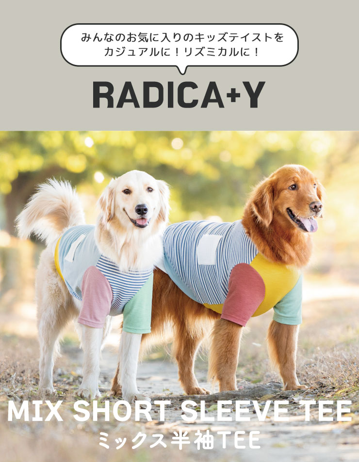 大型犬のtシャツの商品一覧 通販 - Yahoo!ショッピング