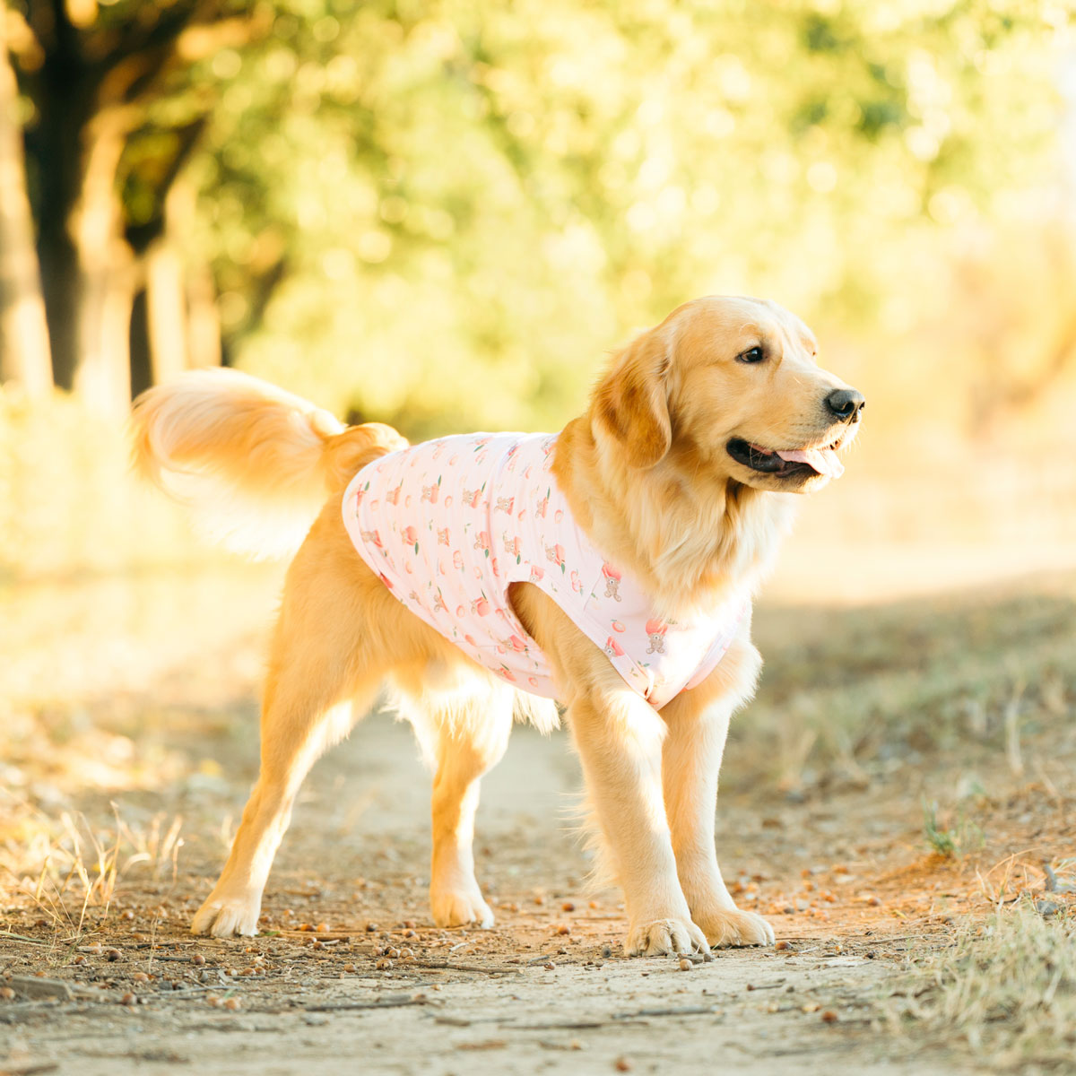 シベリアン・ハスキー（犬の服）｜犬服、アクセサリー｜犬用品