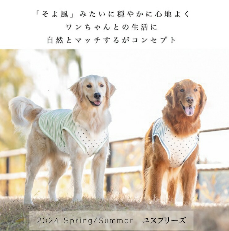 【まとめ買い対象】犬 服 大型犬 接触冷感 虫よけ ラディカ ボーダー × スター クール タンク ドッグウエア 水着素材 プレサーモC-25 防蚊 メール便可｜radica｜07