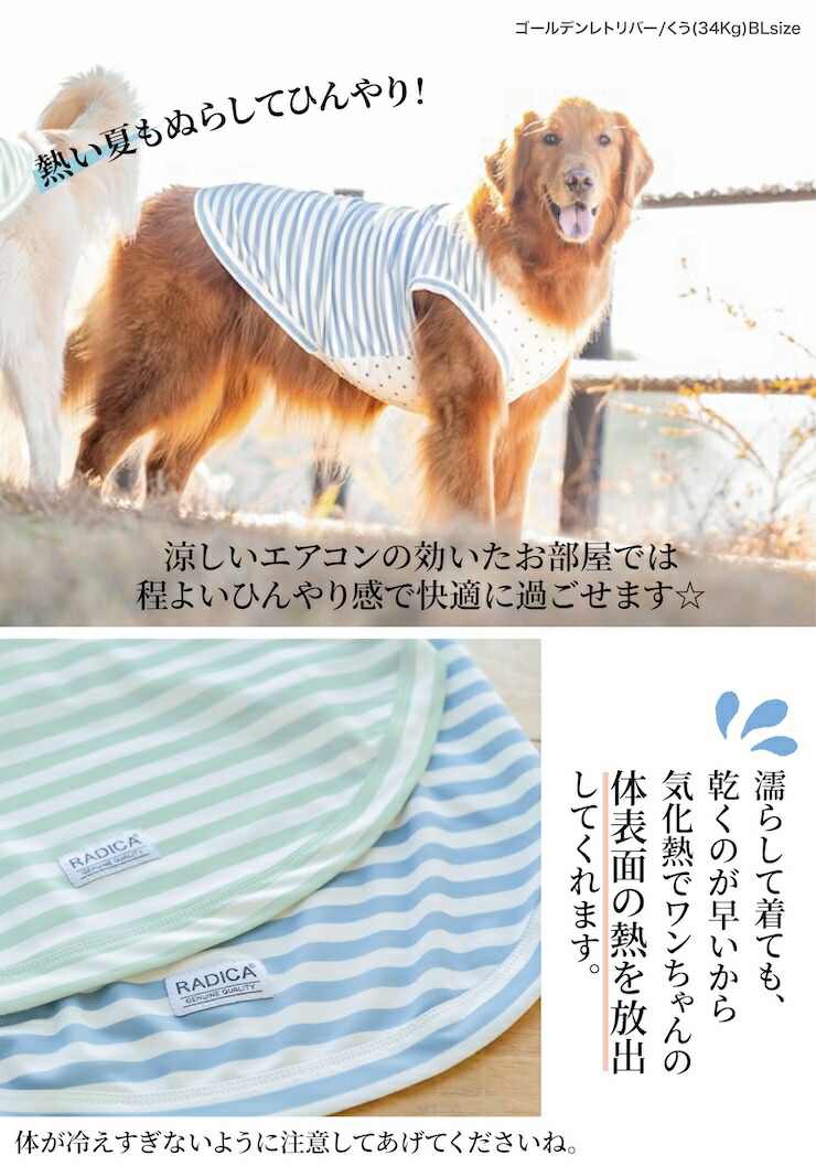 【まとめ買い対象】犬 服 大型犬 接触冷感 虫よけ ラディカ ボーダー × スター クール タンク ドッグウエア 水着素材 プレサーモC-25 防蚊 メール便可｜radica｜12