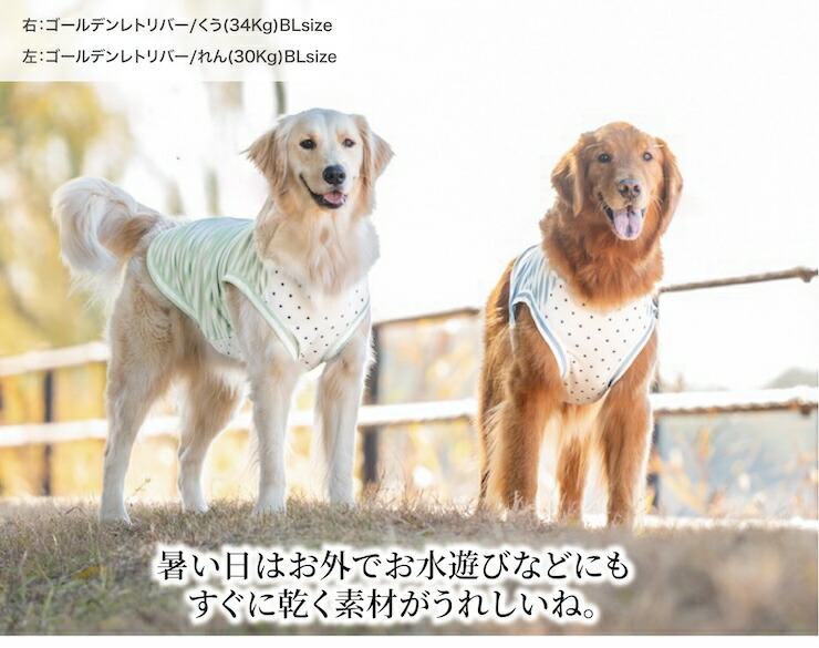 【まとめ買い対象】犬 服 大型犬 接触冷感 虫よけ ラディカ ボーダー × スター クール タンク ドッグウエア 水着素材 プレサーモC-25 防蚊 メール便可｜radica｜13