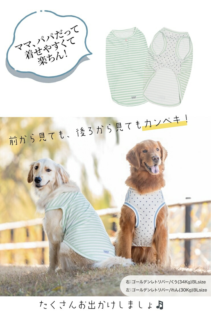 【まとめ買い対象】犬 服 大型犬 接触冷感 虫よけ ラディカ ボーダー × スター クール タンク ドッグウエア 水着素材 プレサーモC-25 防蚊 メール便可｜radica｜14