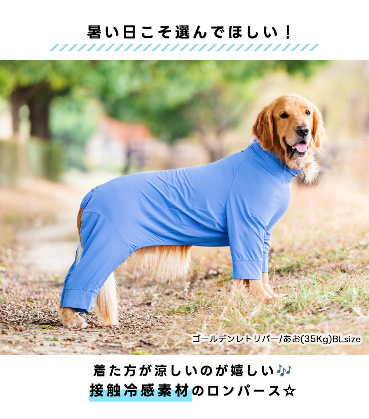 若者に人気のブランド RADICA 【まとめ買いクーポン対象】【10％OFF】犬 服 大型犬 犬服・アクセサリー