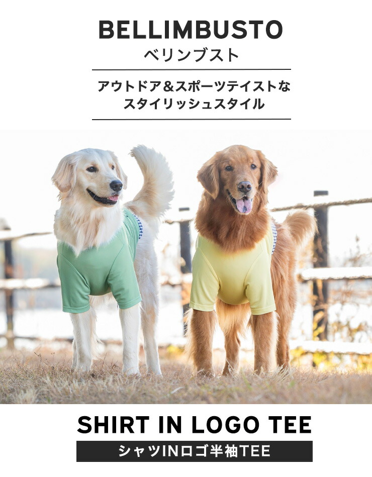 【まとめ買い対象】犬 服 大型犬 接触冷感 虫よけ ラディカ シャツIN ロゴ 半袖 クール TEE 犬の服  プレサーモC25 防蚊 メール便可｜radica｜05