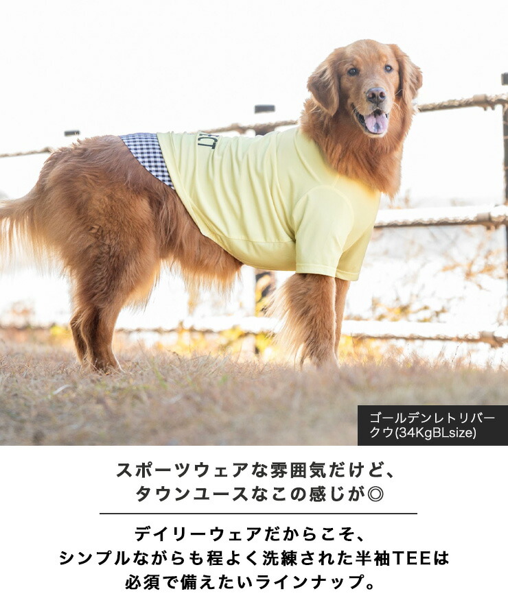 大型犬のtシャツの商品一覧 通販 - Yahoo!ショッピング