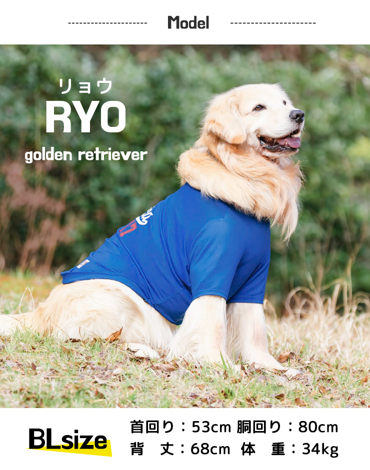 【まとめ買い対象】犬 服 大型犬 接触冷感 虫よけ ユニフォーム クール 半袖 TEE 野球 犬の服 プレサー モC25 防蚊 水着素材 メール便可｜radica｜22