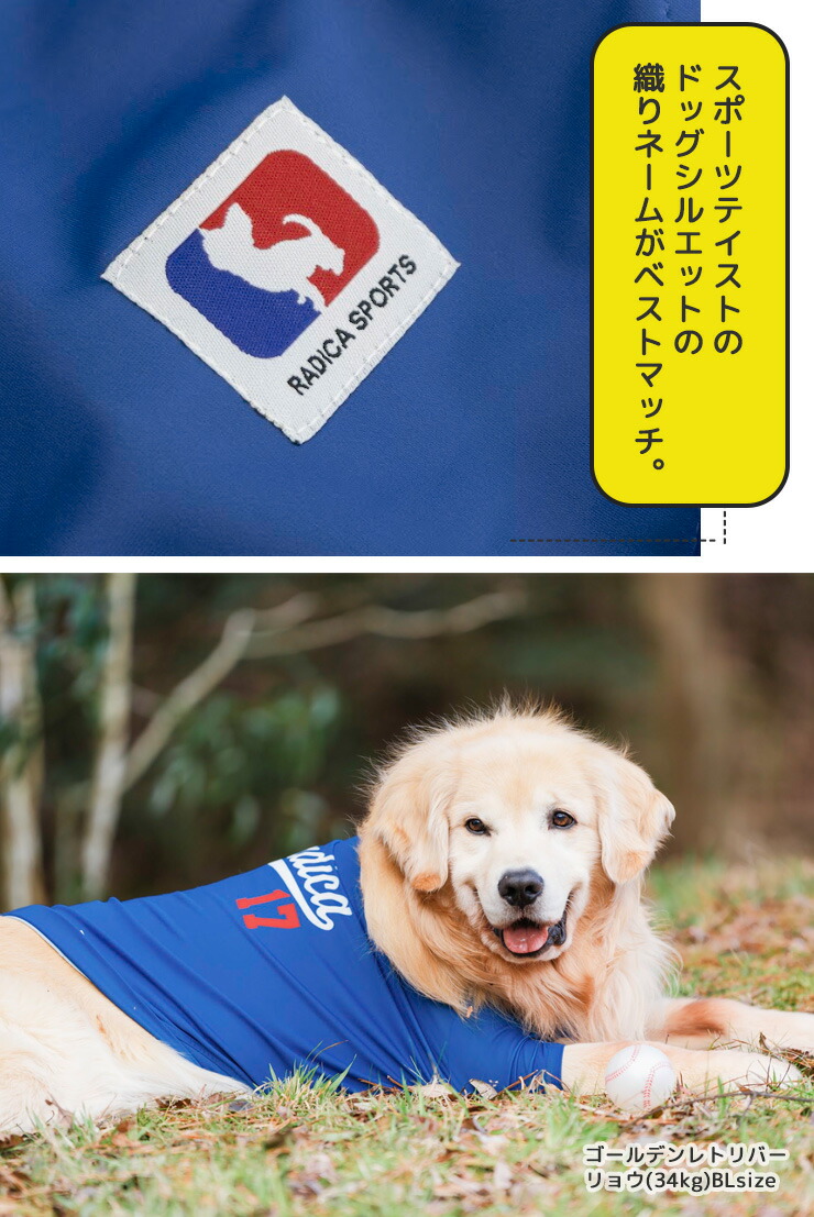 【まとめ買い対象】犬 服 大型犬 接触冷感 虫よけ ユニフォーム クール 半袖 TEE 野球 犬の服 プレサー モC25 防蚊 水着素材 メール便可｜radica｜10