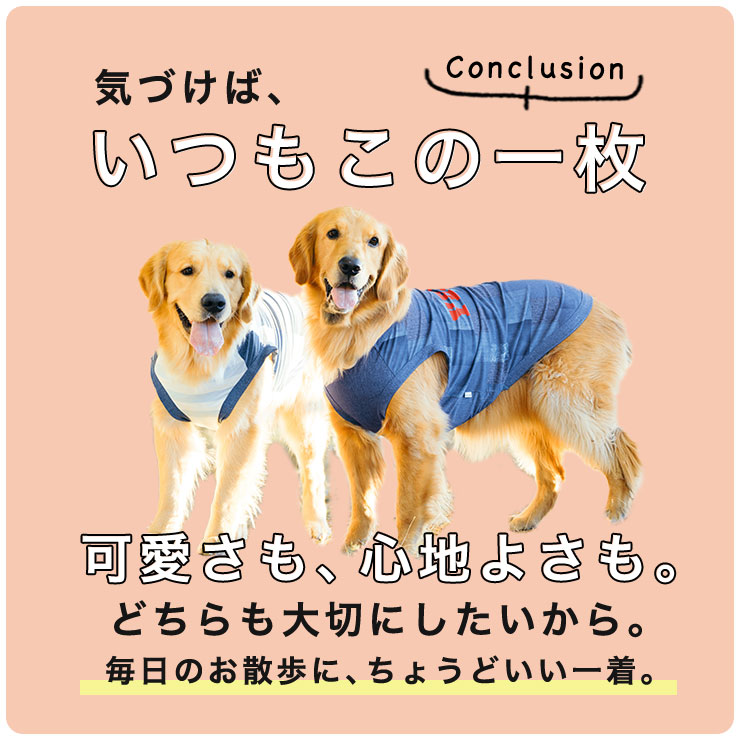 RADICA（ラディカ） 【1,990円均一/まとめ買い対象】 犬 服 大型犬 虫