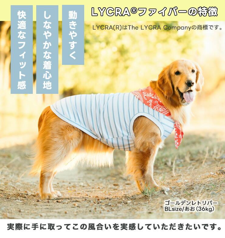 RADICA（ラディカ） 【新作割引】【まとめ買い】 犬 服 接触冷感 抗菌