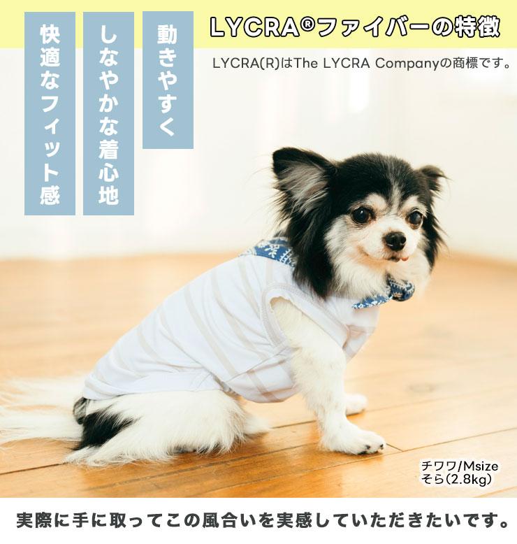 RADICA（ラディカ） 【決算SALE】【まとめ買い】 犬 服 接触冷感 保冷