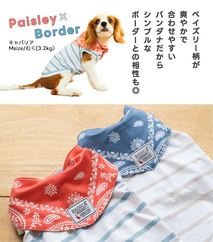RADICA（ラディカ） 【新作割引】【まとめ買い】 犬 服 接触冷感 保冷