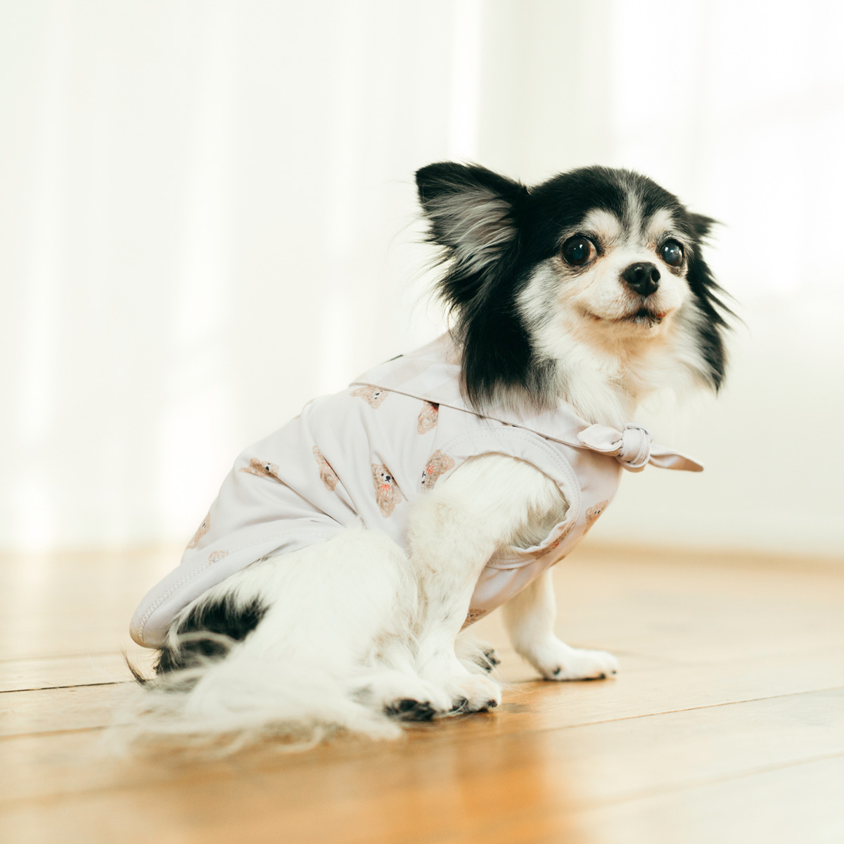 RADICA（ラディカ） 【決算SALE】【まとめ買い】 犬 服 接触冷感 保冷