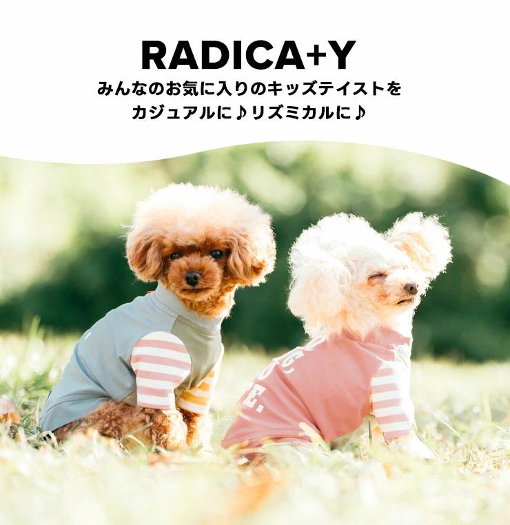 【まとめ買い対象】犬 服 ラディカ 半袖TEE...の詳細画像1