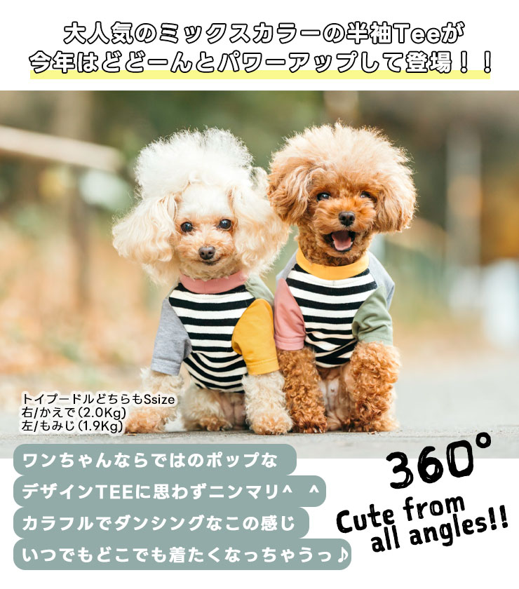 【まとめ買い対象】犬 服 ラディカ 半袖TEE...の詳細画像3