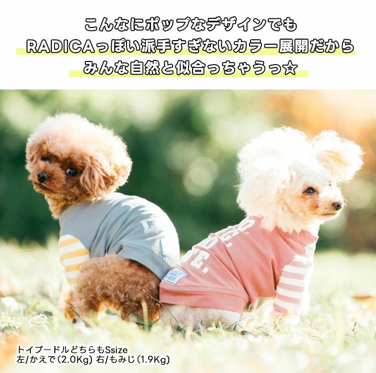 【まとめ買い対象】犬 服 ラディカ 半袖TEE...の詳細画像4