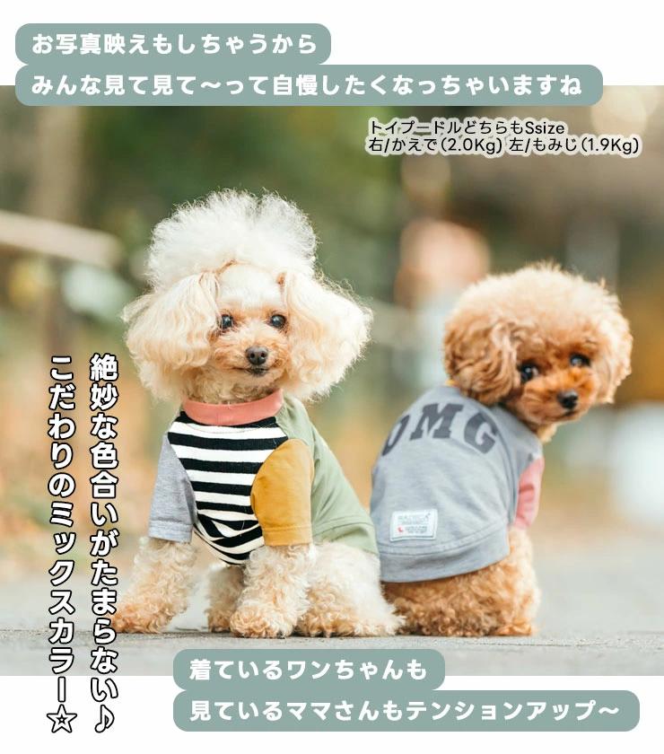 【まとめ買い対象】犬 服 ラディカ 半袖TEE...の詳細画像5